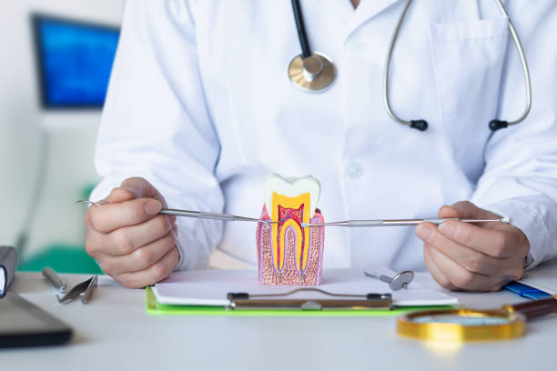 Best Emergency Root Canal Treatment in Paramount Long Meadow, MD